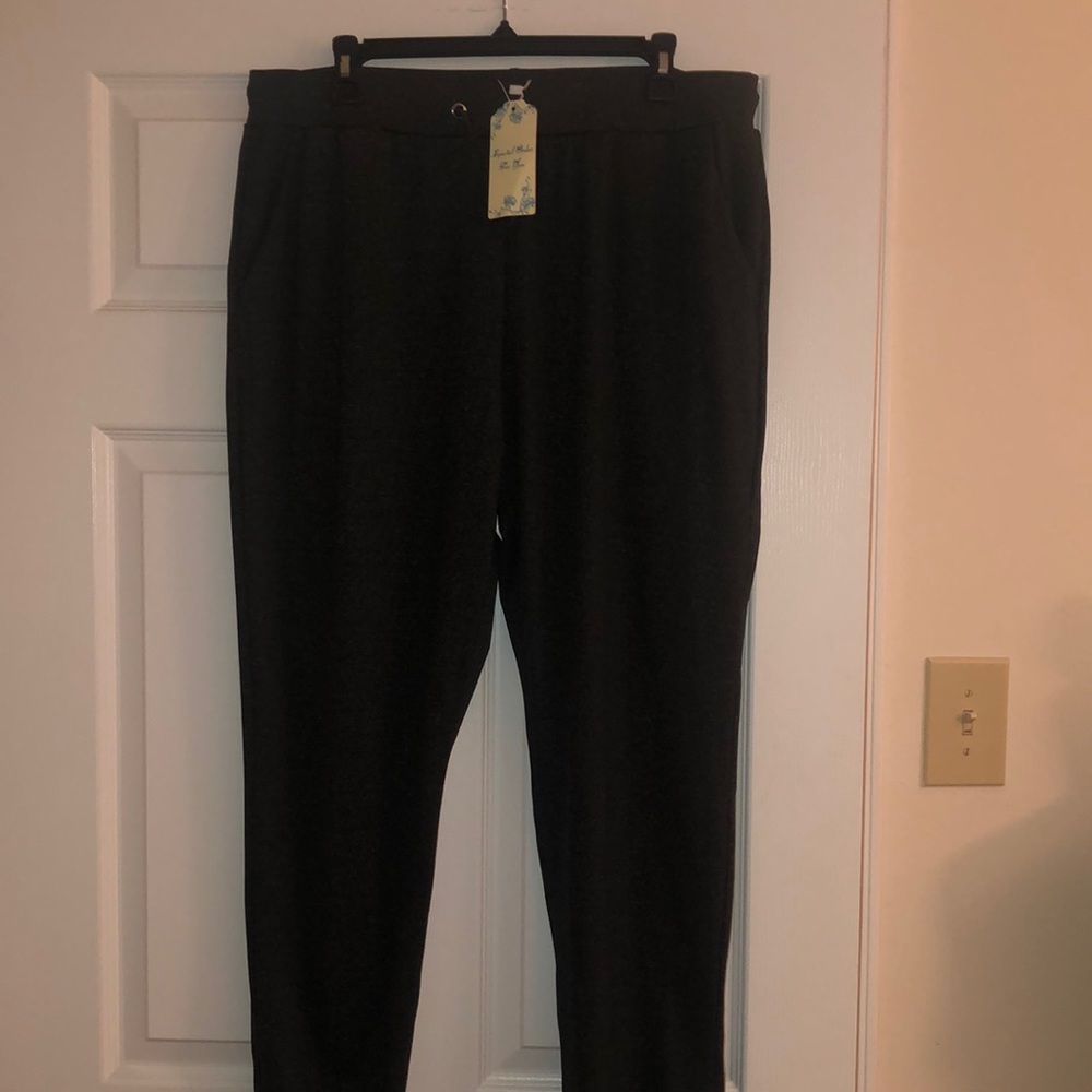 NWT stretch pants